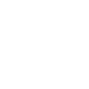 Bisa